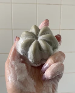 Le Shampoing Solide Detox -L:A Bruket || RMS Beauty || REN CLEAN SKINCARE Soldes Captured ecran2023 06 05a10.37.20