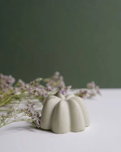 Le Shampoing Solide Detox -L:A Bruket || RMS Beauty || REN CLEAN SKINCARE Soldes DSC02809